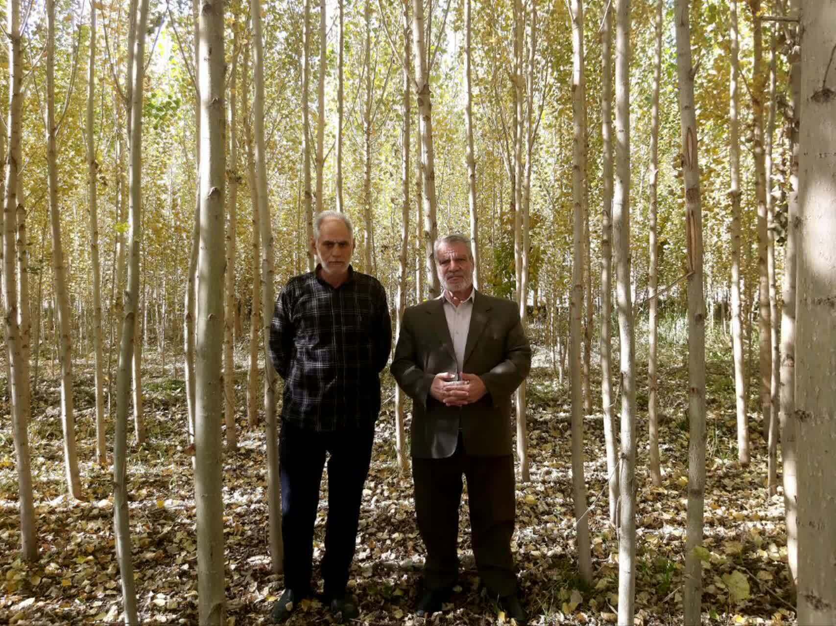 نشان ارادت باغدار واقف و حرم ساز خویی